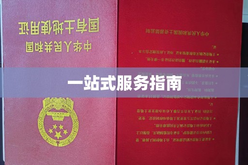 开远一站式服务指南