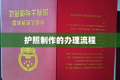 开远护照制作的办理流程