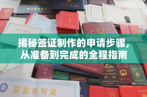 开远揭秘签证制作的申请步骤，从准备到完成的全程指南