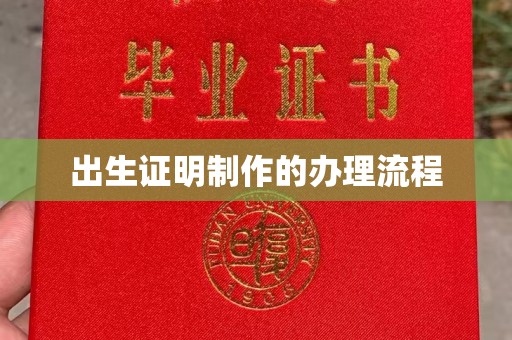 开远出生证明制作的办理流程